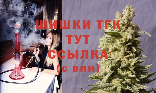 соль ск Горно-Алтайск