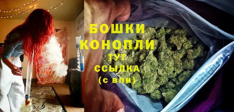 как найти   Гусиноозёрск  Конопля White Widow 